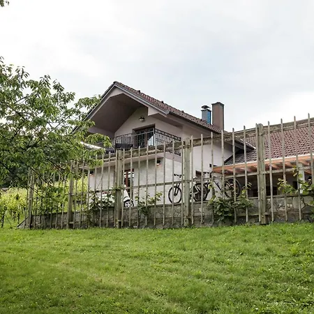 Vineyard Radulja Appartement *