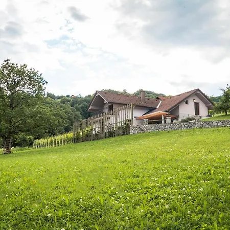 Apartment Vineyard Radulja *