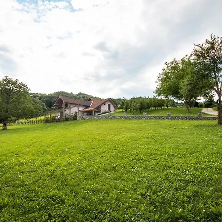 Vineyard Radulja Apartment