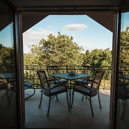 Vineyard Radulja Smarjeske Toplice