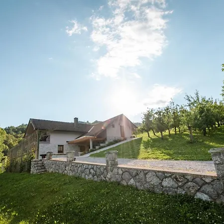 Appartamento Vineyard Radulja *