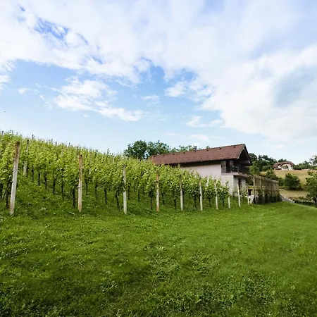 Vineyard Radulja *