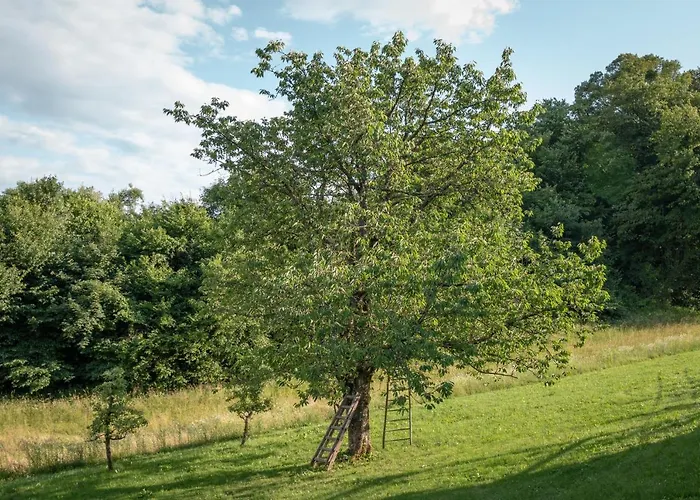Vineyard Radulja Διαμέρισμα