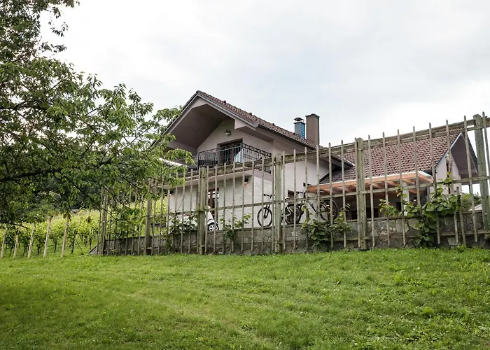 Vineyard Radulja Apartment *