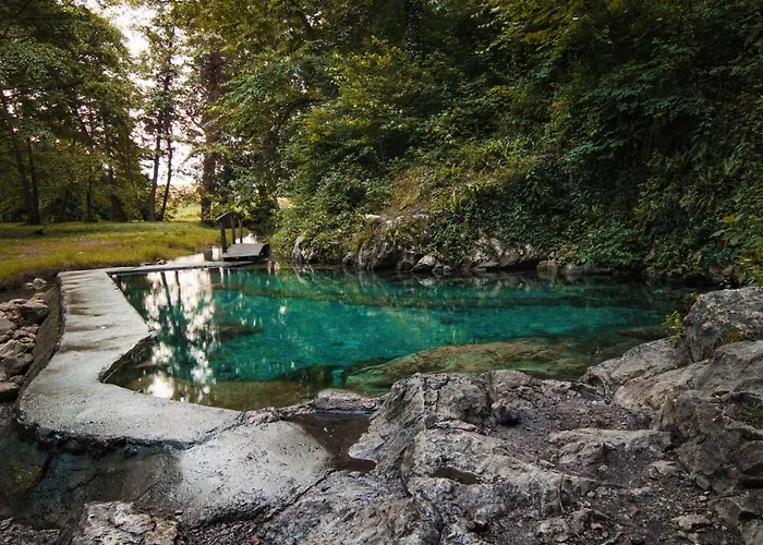 Vineyard Radulja Smarjeske Toplice