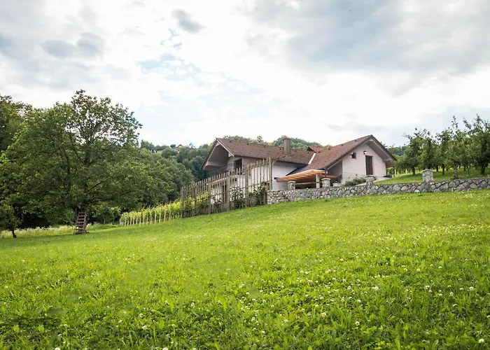 Διαμέρισμα Vineyard Radulja *