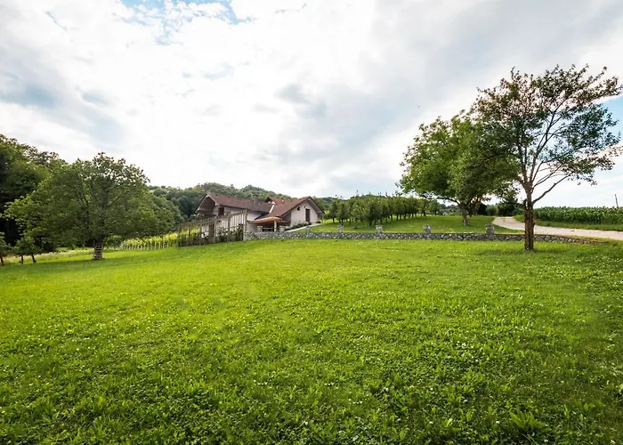 Vineyard Radulja Apartment