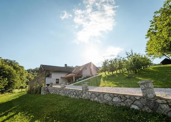 公寓 Vineyard Radulja *